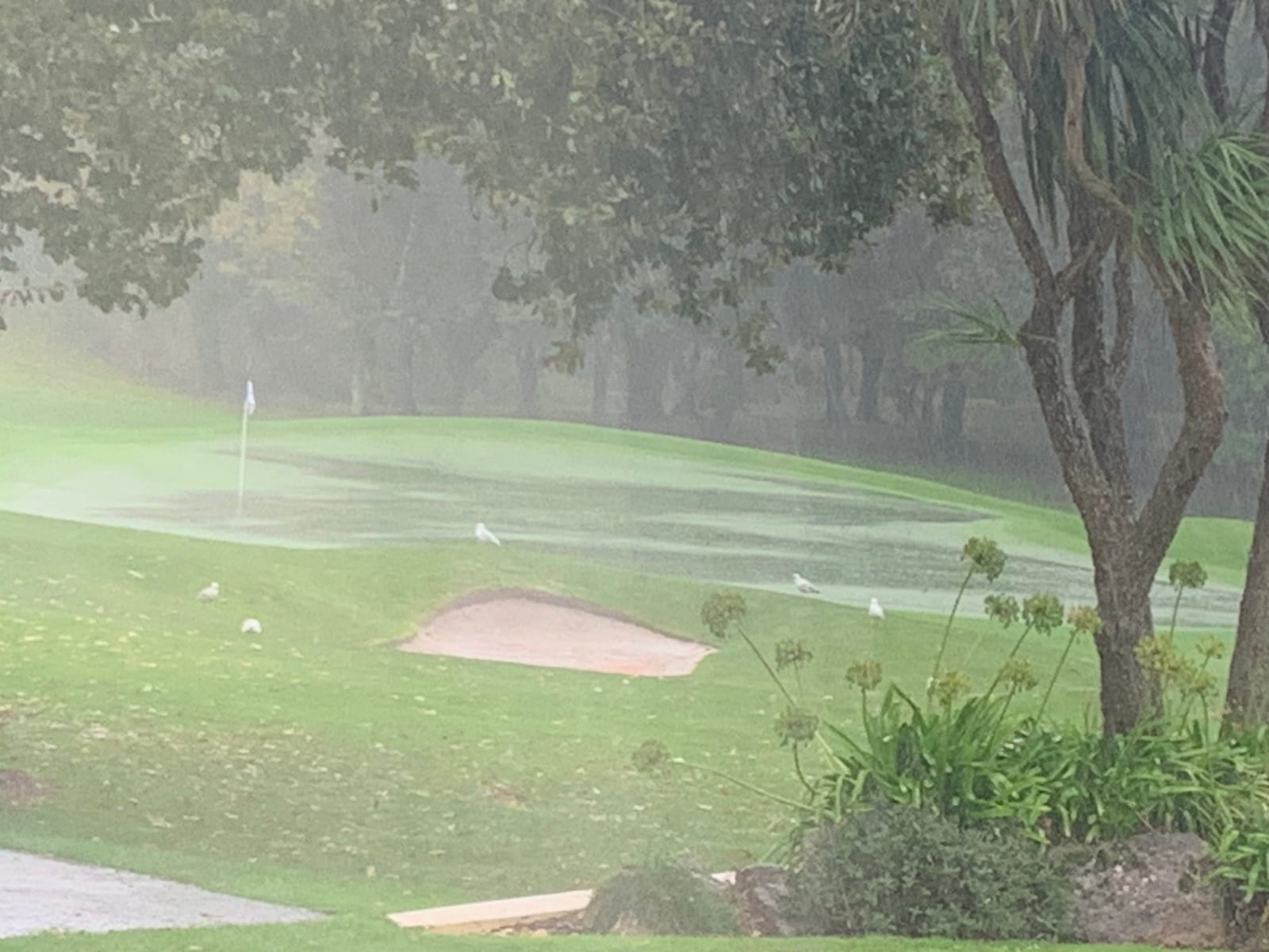 Waterlogged course at Torquay Golf Club